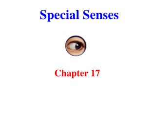 Special Senses