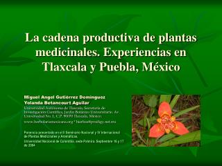 La cadena productiva de plantas medicinales. Experiencias en Tlaxcala y Puebla, México