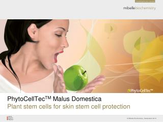 PhytoCellTec TM Malus Domestica Plant stem cells for skin stem cell protection