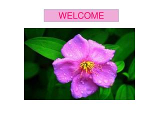 WELCOME