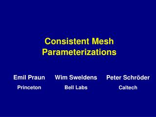 Consistent Mesh Parameterizations