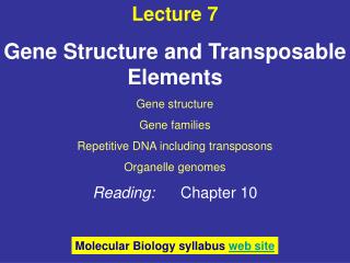 Lecture 7 Gene Structure and Transposable Elements Gene structure Gene families