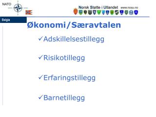 Økonomi/Særavtalen