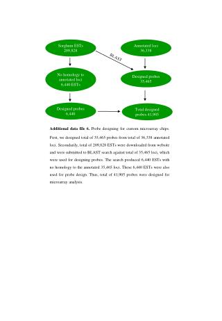 Sorghum ESTs 209,828