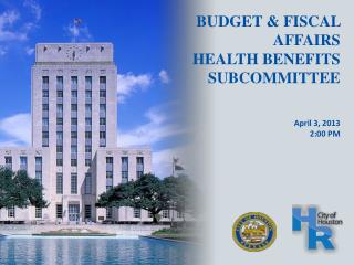 BUDGET &amp; FISCAL AFFAIRS HEALTH BENEFITS SUBCOMMITTEE