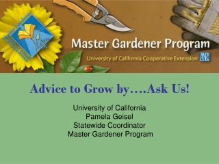 Advice to Grow by….Ask Us!