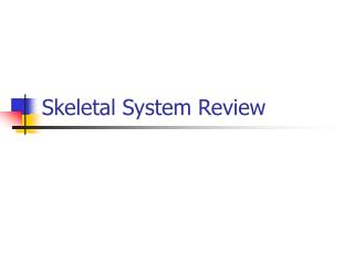 Skeletal System Review