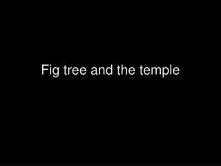 Fig tree and the temple