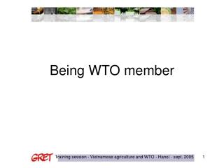 Being WTO member