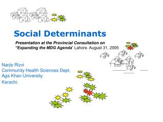 Social Determinants