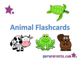 Animal Flashcards