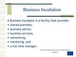 Business Incubation