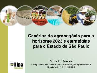 Brasil - liderança no agronegócio mundial