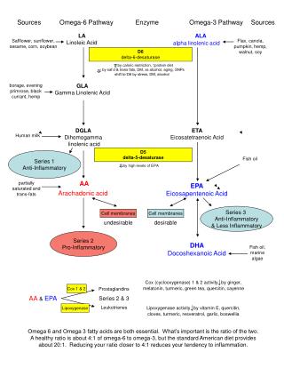 LA Linoleic Acid