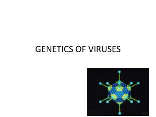 GENETICS OF VIRUSES