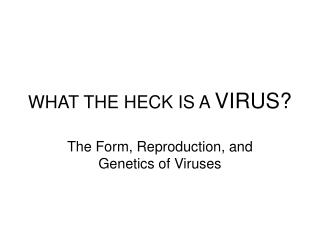 WHAT THE HECK IS A VIRUS?