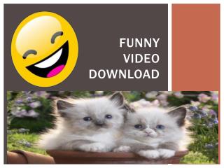 Funny Video Download