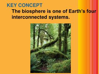 KEY CONCEPT The biosphere is one of Earth’s four interconnected systems.