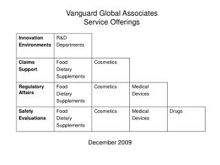 Vanguard Global Associates Service Offerings