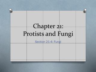 Chapter 21: Protists and Fungi