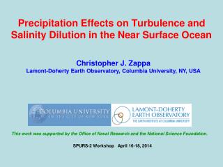 Precipitation Effects on Turbulence and Salinity Dilution in the Near Surface Ocean