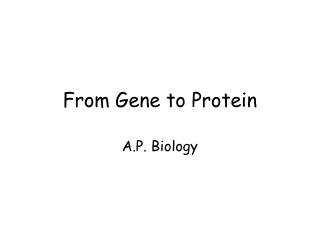 From Gene to Protein