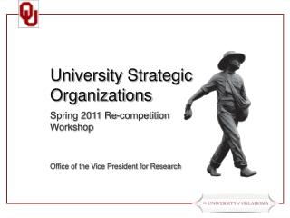 University Strategic Organizations