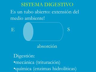 SISTEMA DIGESTIVO