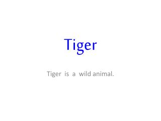 Tiger