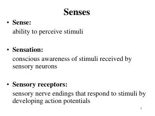 Senses