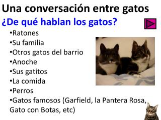 Una conversación entre gatos ¿De qué hablan los gatos? Ratones Su familia Otros gatos del barrio