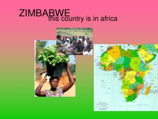 ZIMBABWE