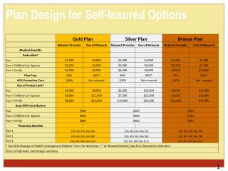 Plan Design for Self-Insured Options