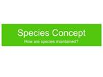 Species Concept