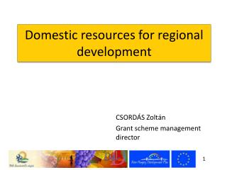 Domestic resources for regional development