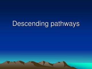 Descending pathways