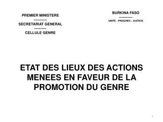 ETAT DES LIEUX DES ACTIONS MENEES EN FAVEUR DE LA PROMOTION DU GENRE