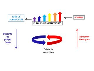 ZONE DE SUBDUCTION