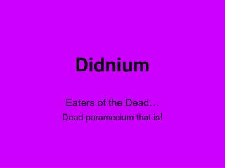 Didnium