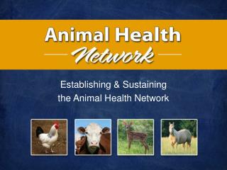 Establishing &amp; Sustaining the Animal Health Network