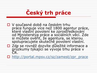 Český trh práce