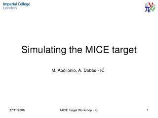 Simulating the MICE target