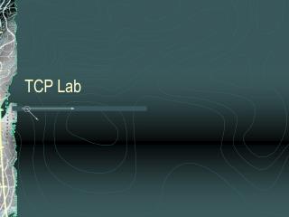 TCP Lab