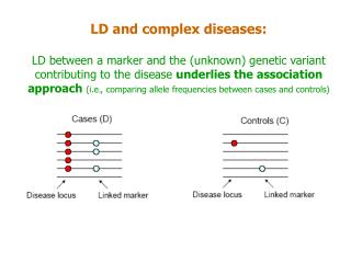 LD and complex diseases: LD between a marker and the (unknown) genetic variant