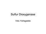 Sulfur Dioxygenase