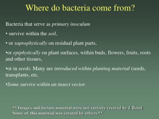 Where do bacteria come from?