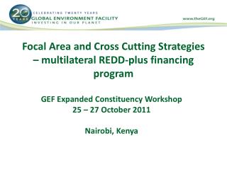 Focal Area and Cross Cutting Strategies – multilateral REDD-plus financing program