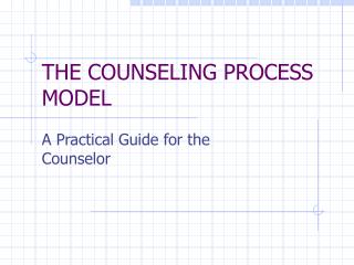 THE COUNSELING PROCESS MODEL