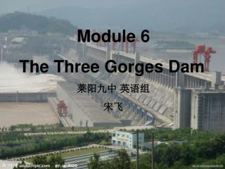 Module 6 The Three Gorges Dam 莱阳九中 英语组 宋飞