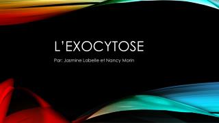 L’exocytose